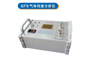 HN2006CSF6气体纯度分析仪